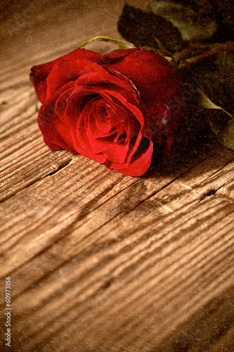 Naklejka - mata magnetyczna na lodówkę Red rose