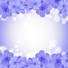 Border Or Background With Blue Blossom