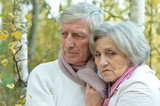 Fototapeta  - Elderly couple in forest