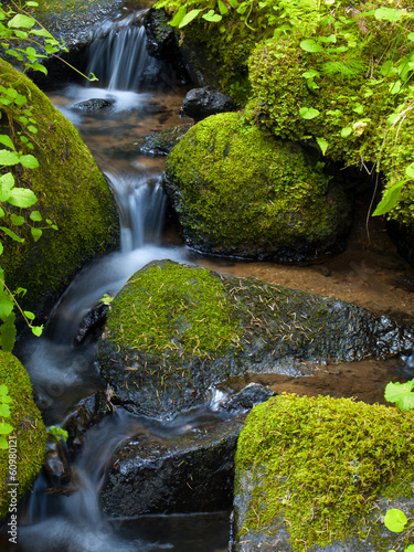 Fototapeta na wymiar Mountain stream among the mossy stones