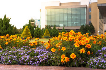 Lithuanian Parliament Buildings in Vilnius