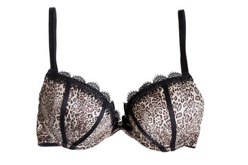 Canvas Print - Leopard bra