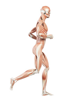 3d rendered illustration -