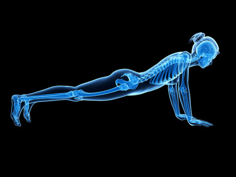 3d rendered illustration - woman doing pushups