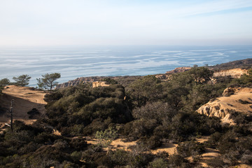 Sticker - Torrey Pines State Natural Reserve