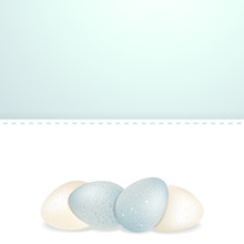 Easter White And Blue Speckled Eggs And Panel