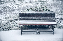 First Snow Of Winter Bench