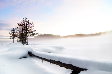 wintry landscape