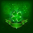 Patrick day green clover