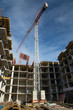 House construction. Monolithic. Construction crane