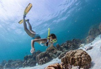 Wall Mural - Snorkeling