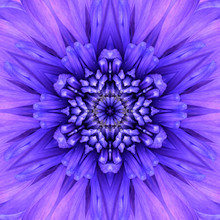 Blue Concentric Flower Center. Mandala Kaleidoscopic Design