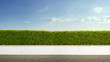 Panoramic view of green hedge fence with blue sky