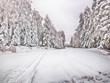 Snowy winter road thru the forest