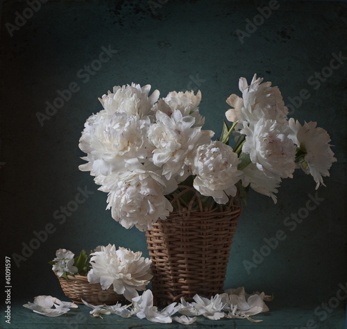 Fototapeta na wymiar Peonies