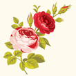 Roses decorative