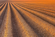Plough Agriculture Field Before Sowing