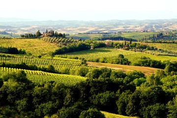 Countryside of Tuscany, Italy near sunset