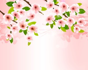 Aufkleber - Nature background with blossoming sakura brunch. Vector illustra