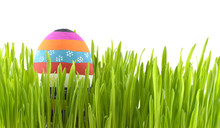 Striped Easter Egg In Grass