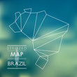 stylized map of Brazil