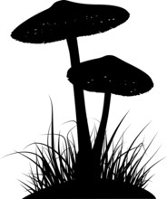 Silhouette Of Two Poisonous Mushrooms