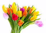 Fototapeta Tulipany - Blumen zum Valentinstag