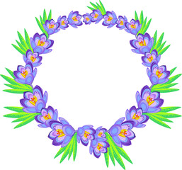  crocus frame