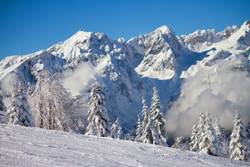 Canvas Print - Dolomites in winter