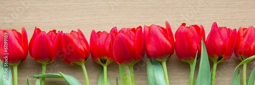 Fototapeta dla dzieci Red tulips banner