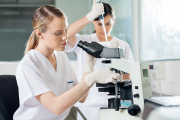 Wall Mural - Scientist Using Microscope In Lab