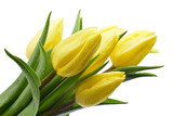 Fototapeta Tulipany - Bukiet żółtych tulipanów