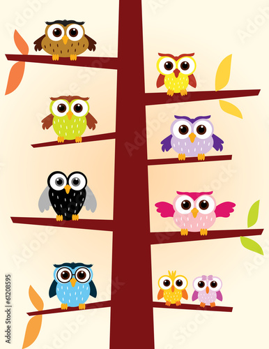 Plakat na zamówienie Owls colors