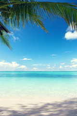 Fotobehang - Caribbean sea and coconut palms