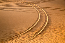 Car Track In The Desert