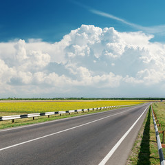 Wall Mural - asphalt road goes to cloudy horizon