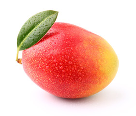 Wall Mural - Ripe mango with drop water