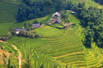 Wall Mural - Village and paddy fields near Sapa, Vietnam