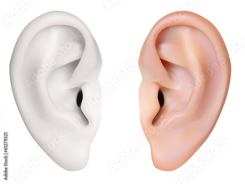 Fotomural Photo-realistic vector. Human Ear. Isolated on white