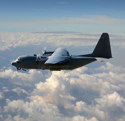 Wall Mural - Military transport airplane