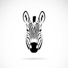 Vector Of An Zebra Head Design. Animals.
