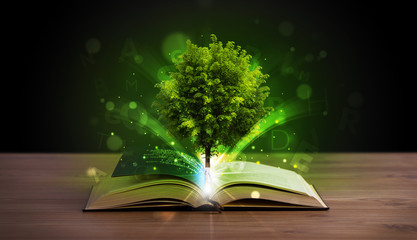 Wall Mural - Open book with magical green tree and rays of light