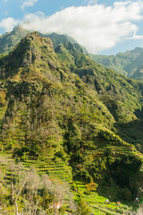 Wall Mural - Madeira mountain view