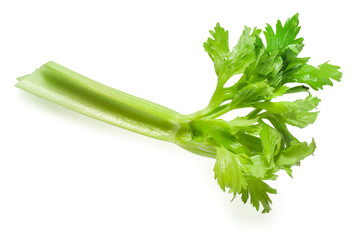 Poster - Celery. Piece isolated on white