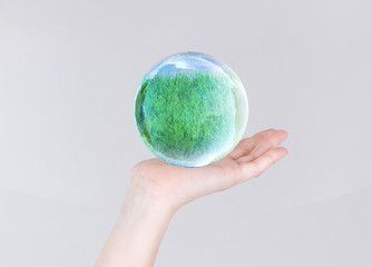 Wall Mural - grass in glass bubble