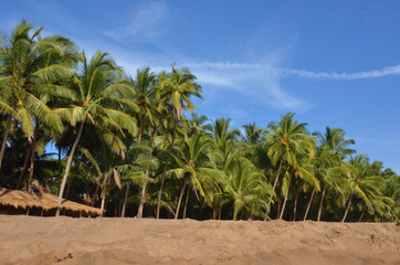 Wall Mural - landscape goa