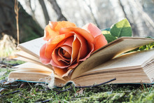 Book And Rose
