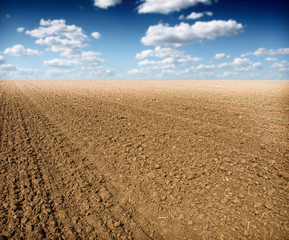 ploughed field