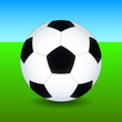 © AlexanderZam - Soccer ball on field