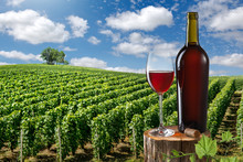 Glass And Bottle Of Red Wine Against Vineyard Landscape